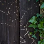 Quintana La Vega Casona Asturiana 度假居