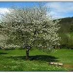 Quintana La Vega Casona Asturiana 度假居 奥维耶多