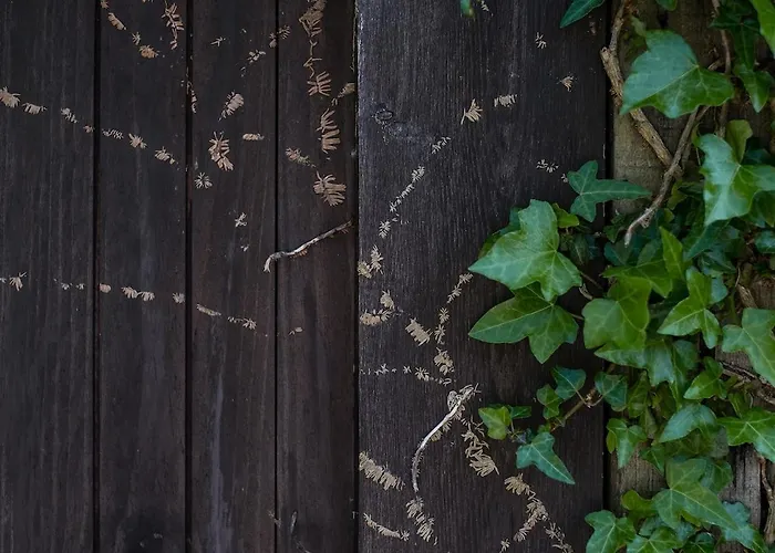 Quintana La Vega Casona Asturiana بيت للعطل