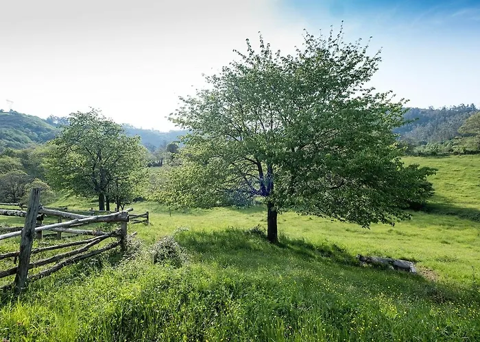 بيت للعطل Quintana La Vega Casona Asturiana *