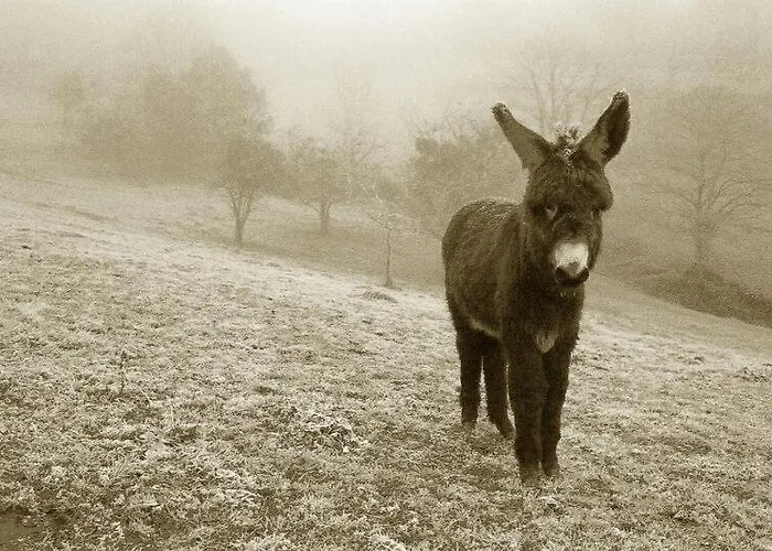 Quintana La Vega Casona Asturiana بيت للعطل