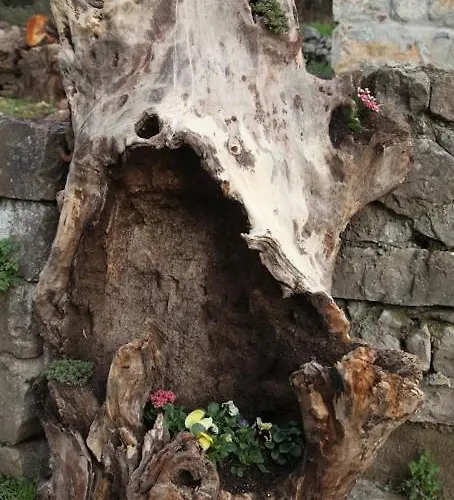 بيت للعطل Quintana La Vega Casona Asturiana اوفيدو