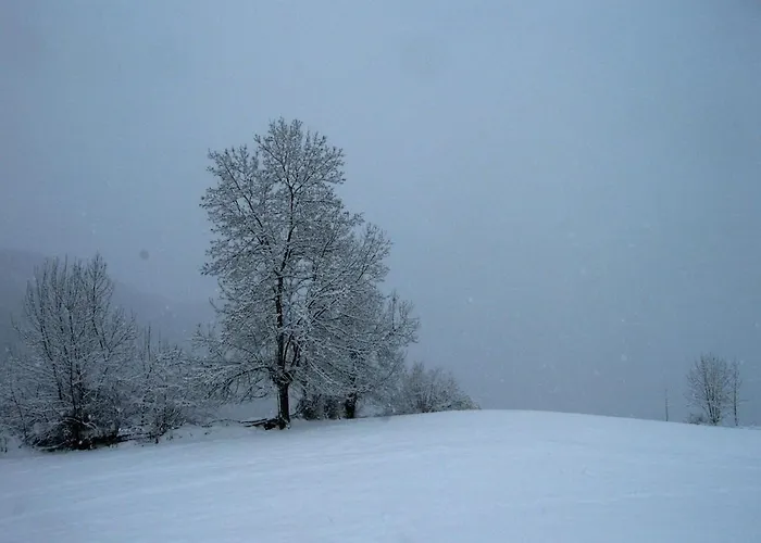 Quintana La Vega Casona Asturiana بيت للعطل اوفيدو